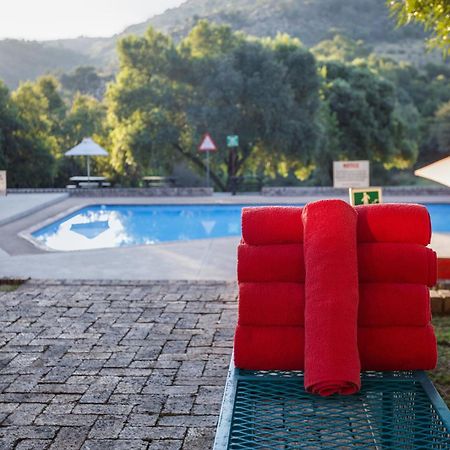 26° South Bush Boho Hotel Muldersdrift Zewnętrze zdjęcie
